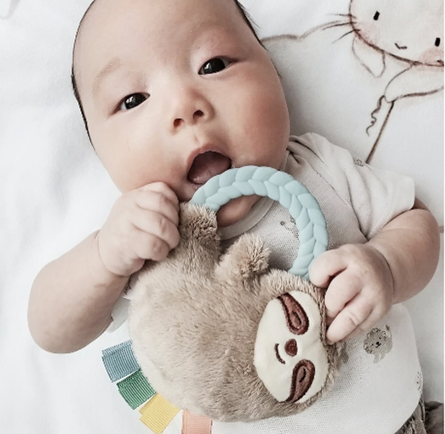 Ritzy Rattle Pal™ Plush Rattle with Teether