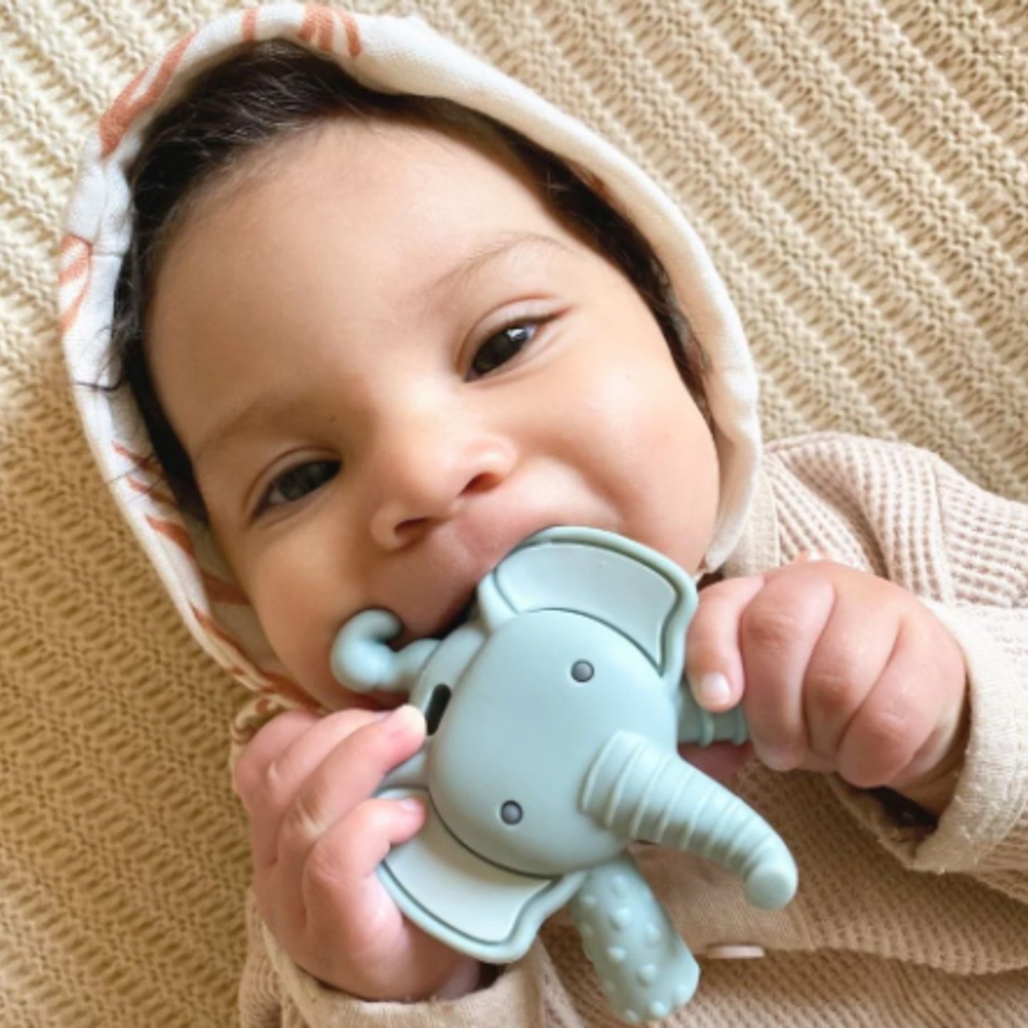 Ritzy Teether™ - Molar Teether