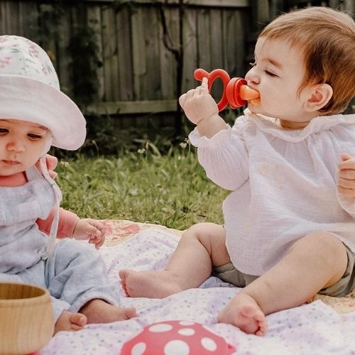 haakaa - Fresh Feeder & Teether