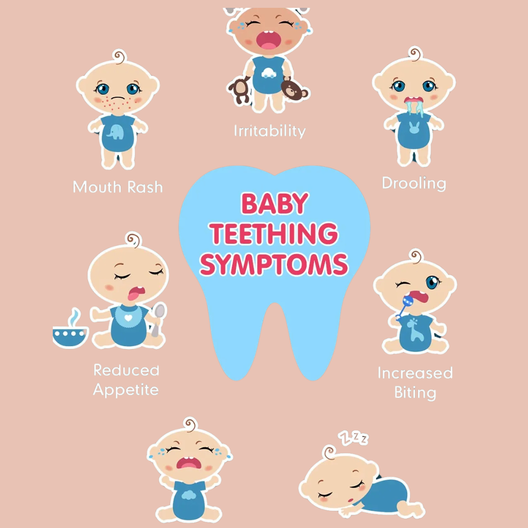 Navigating the Teething Jungle: Understanding Your Little One's Teething Symptoms - The Teething Co