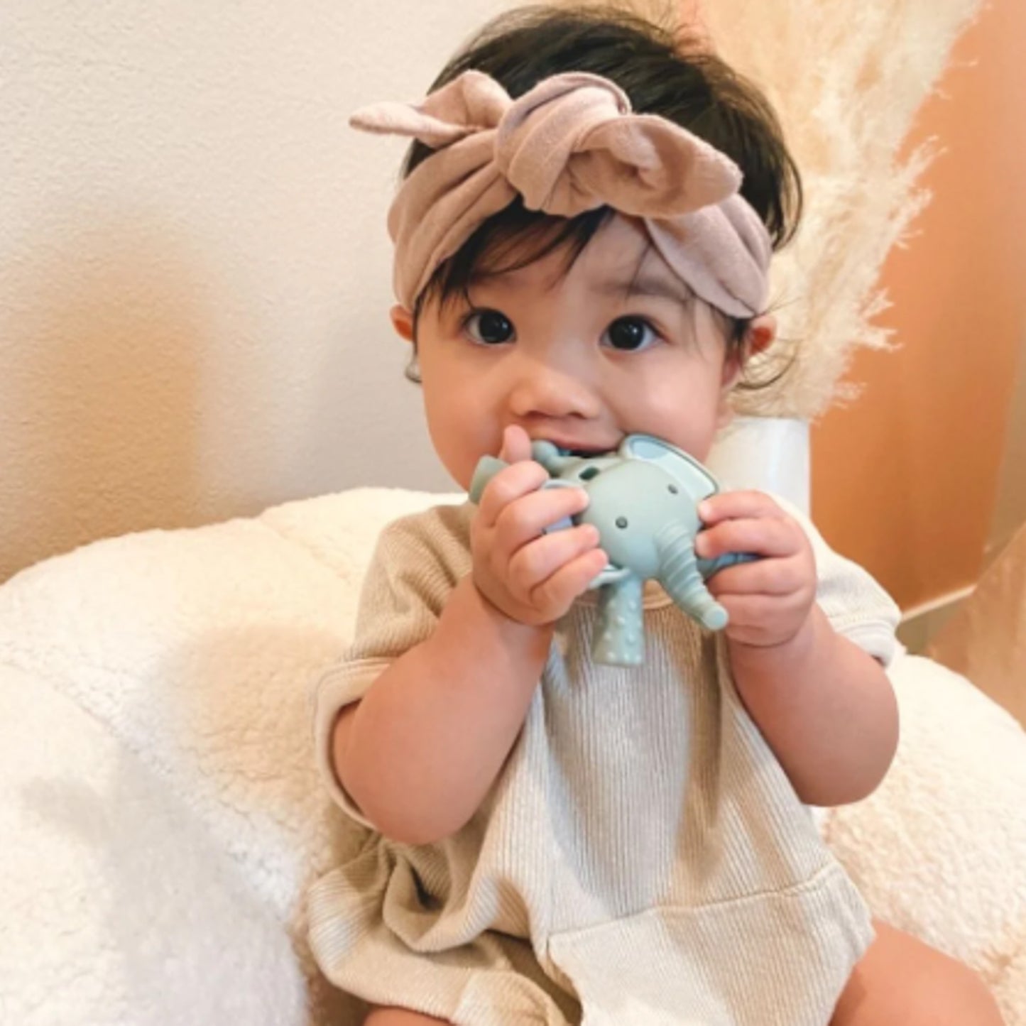 Ritzy Teether™ - Molar Teether